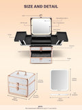 Detailed diagram of a makeup box with labeled features and dimensions on a beige background.